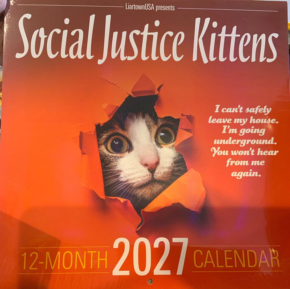 Social justice kittens calender